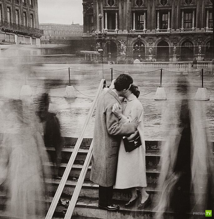 ����� ����� ������ ������� (41 ����)