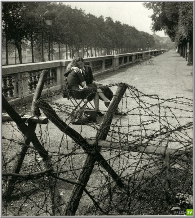 ����� ����� ������ ������� (41 ����)