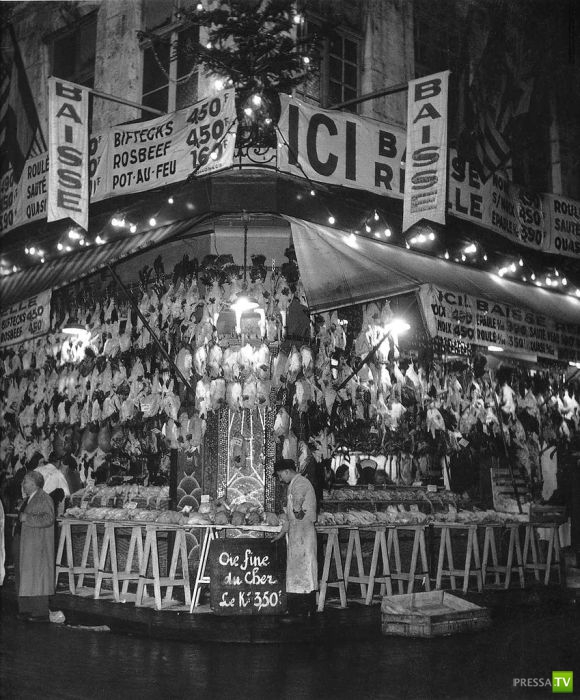 ����� ����� ������ ������� (41 ����)