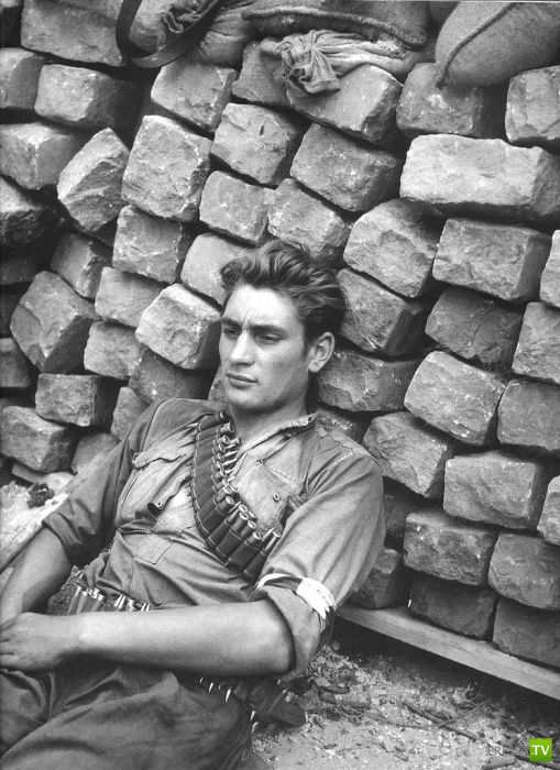 ����� ����� ������ ������� (41 ����)