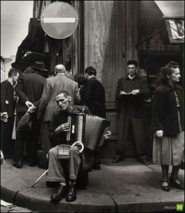 ����� ����� ������ ������� (41 ����)