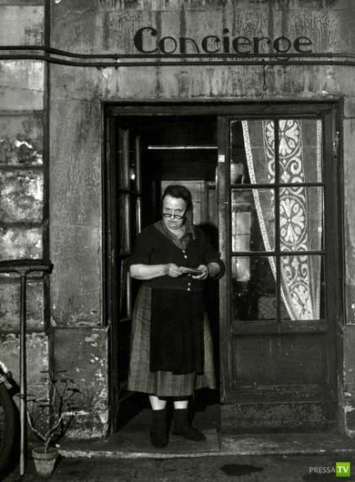 ����� ����� ������ ������� (41 ����)