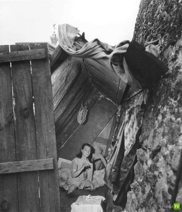 ����� ����� ������ ������� (41 ����)