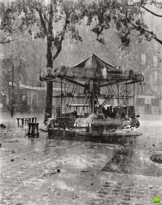 ����� ����� ������ ������� (41 ����)