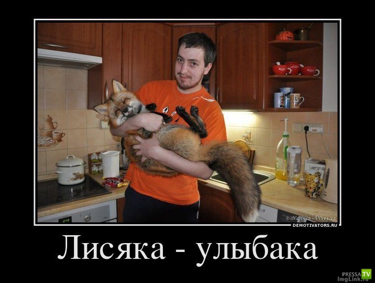 ����� �������� ������������� (42 ����)