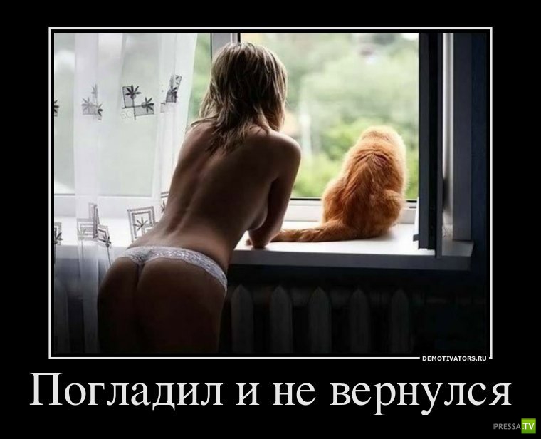 ����� �������� ������������� (42 ����)