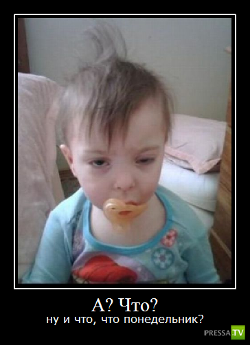 ����� �������� ������������� (42 ����)