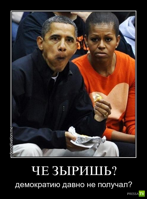 ����� �������� ������������� (42 ����)