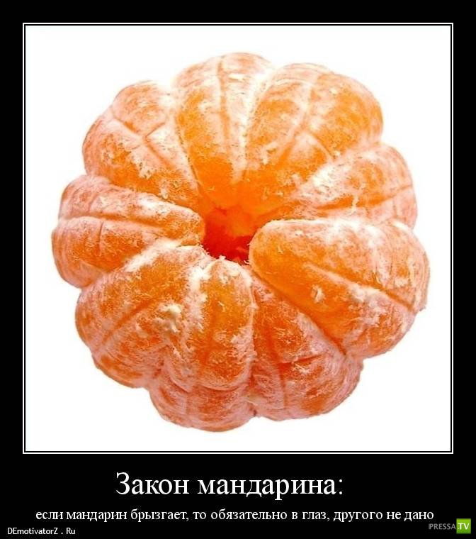 ����� �������� ������������� (42 ����)