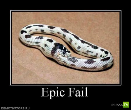 ����� �������� ������������� (42 ����)