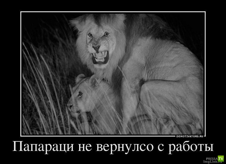 ����� �������� ������������� (42 ����)