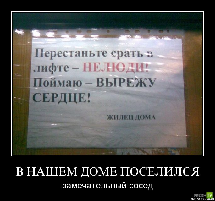 ����� �������� ������������� (42 ����)