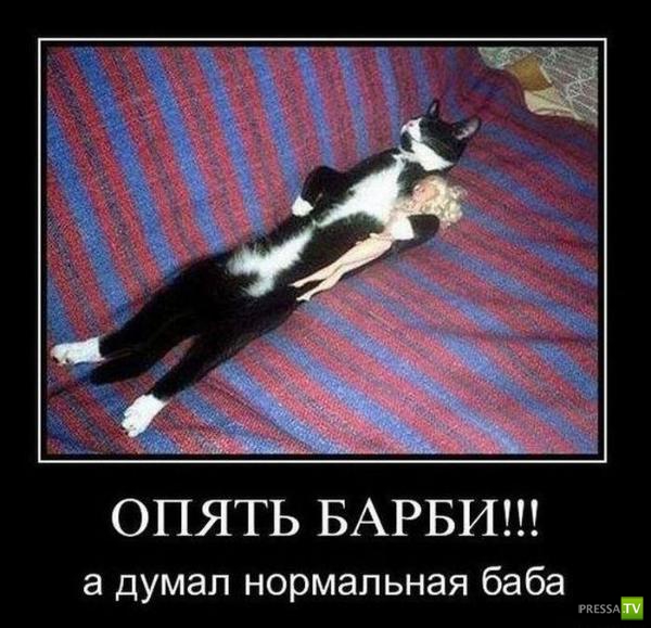 ����� �������� ������������� (42 ����)