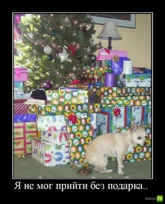 ����� �������� ������������� (42 ����)