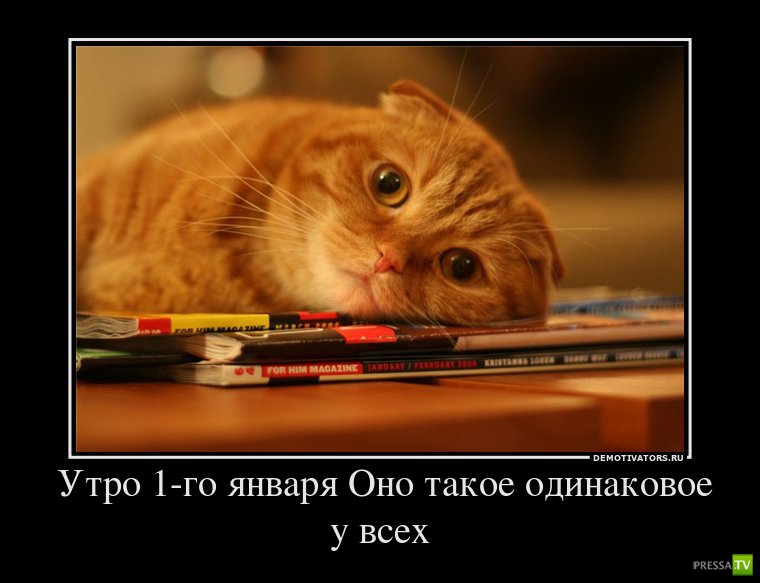 ����� �������� ������������� (42 ����)