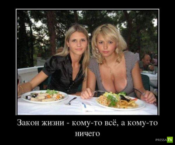 ����� �������� ������������� (42 ����)