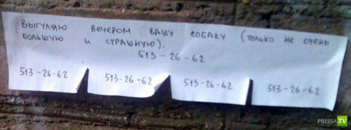 �������� �������� � �������� ��������� ����� 6 (37 ����)