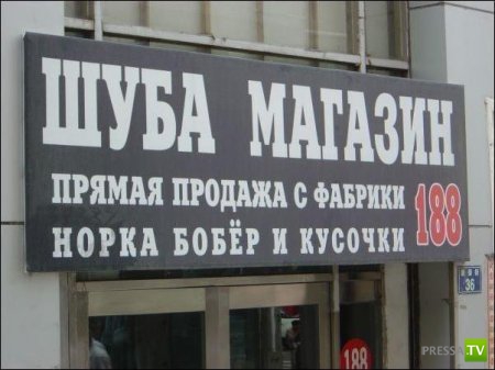 �������� �������� � �������� ��������� ����� 6 (37 ����)