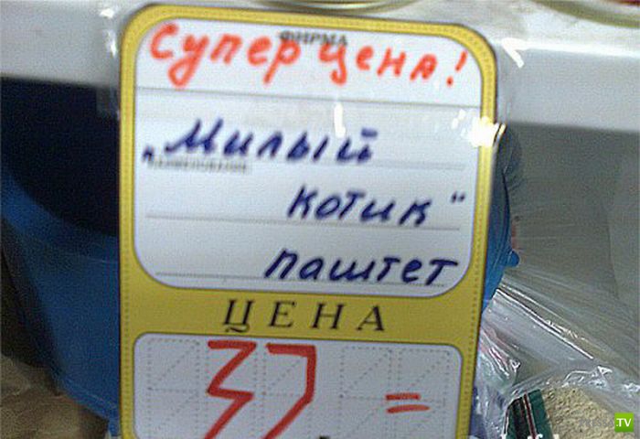 �������� �������� � �������� ��������� ����� 6 (37 ����)