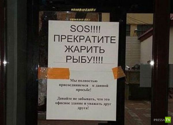 �������� �������� � �������� ��������� ����� 6 (37 ����)