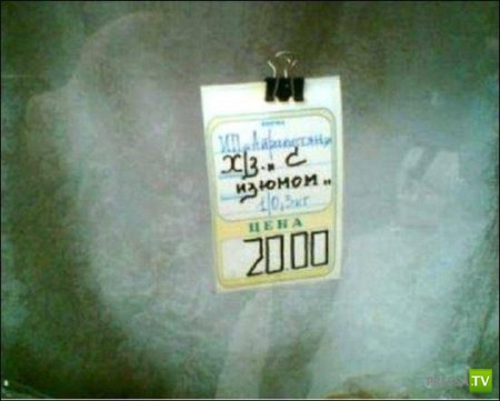 �������� �������� � �������� ��������� ����� 6 (37 ����)