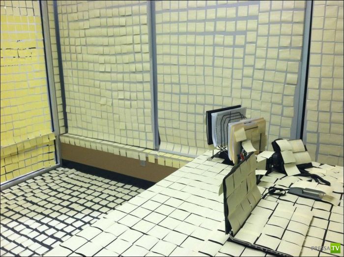 ��� ��������� ����� ? (6 ����)