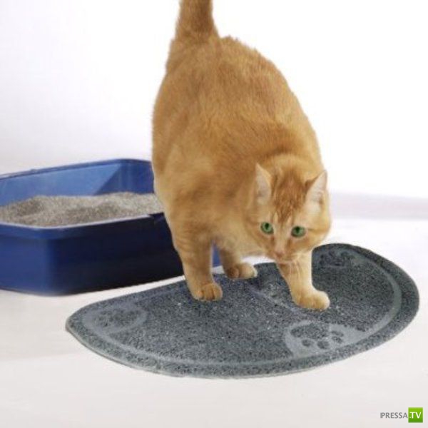 ���� ����������� � ������� �� 2011 ��� (40 ����)