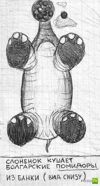 ������� �� ������� (31 ����)