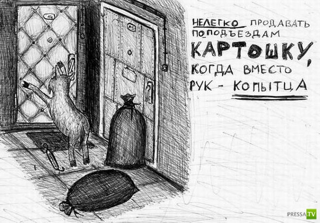 ������� �� ������� (31 ����)