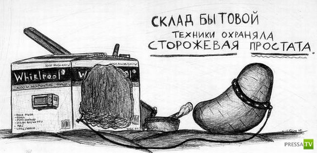 ������� �� ������� (31 ����)