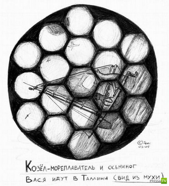 ������� �� ������� (31 ����)