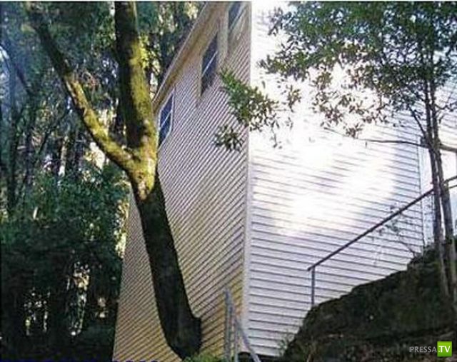 �������� ������ � ������������� (37 ����)