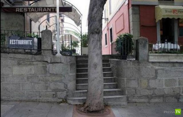 �������� ������ � ������������� (37 ����)