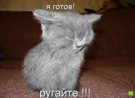 �����������...� �� ������ (10 ����)