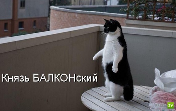 �����������...� �� ������ (10 ����)