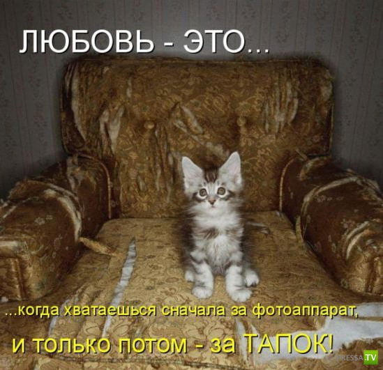 �����������...� �� ������ (10 ����)