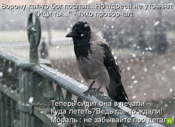 �����������...� �� ������ (10 ����)