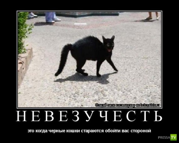 �����������...� �� ������ (10 ����)