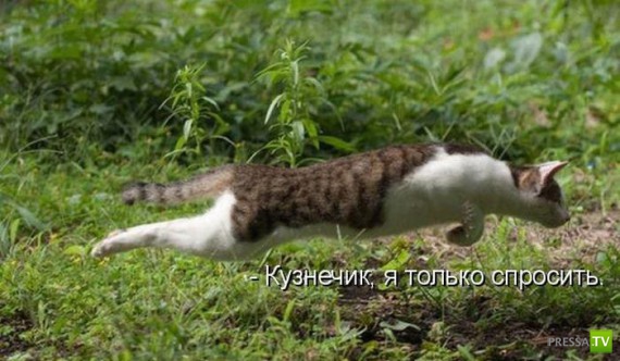 �����������...� �� ������ (10 ����)