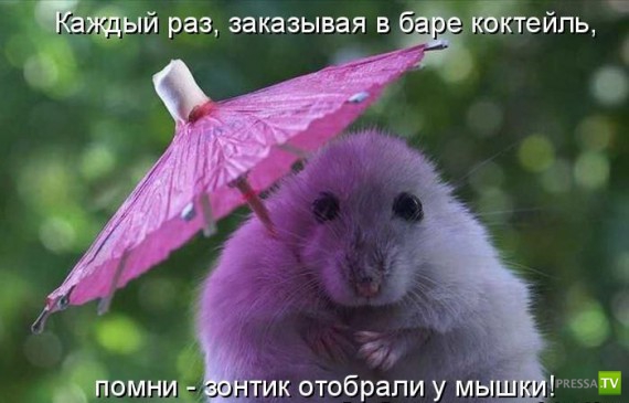 �����������...� �� ������ (10 ����)