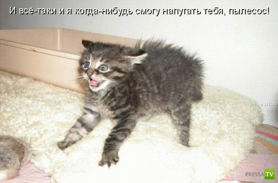 �����������...� �� ������ (10 ����)