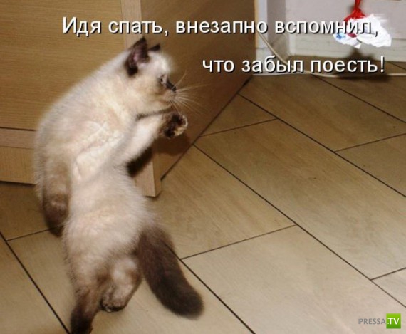 �����������...� �� ������ (10 ����)