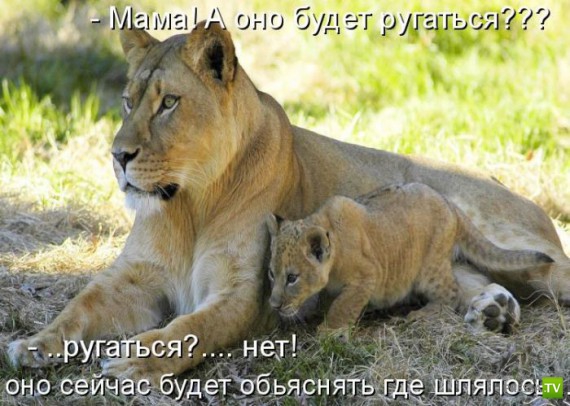 �����������...� �� ������ (10 ����)