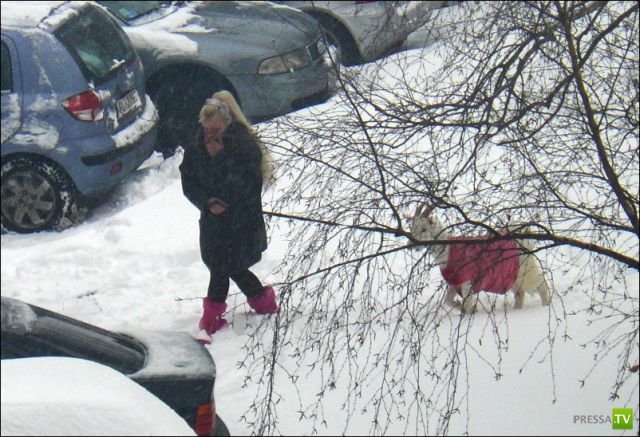 ��������� ��� ��������� ���� ������ (4 ����)