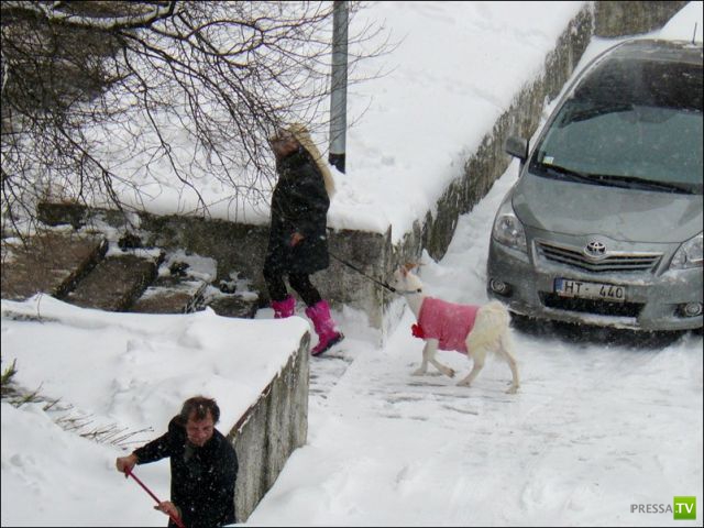 ��������� ��� ��������� ���� ������ (4 ����)