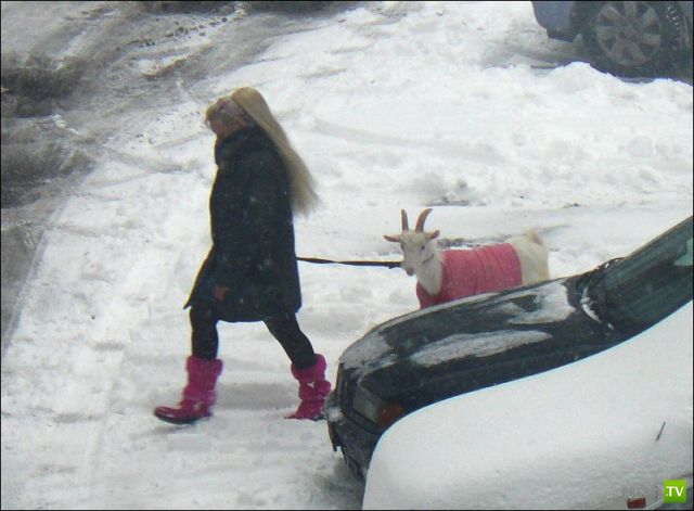 ��������� ��� ��������� ���� ������ (4 ����)