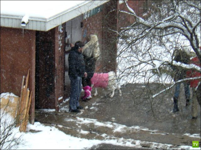 ��������� ��� ��������� ���� ������ (4 ����)