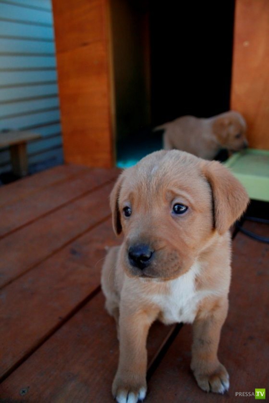 ��� �������� �������� ����� 6 (33 ����)