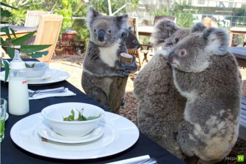 ��� �������� �������� ����� 6 (33 ����)