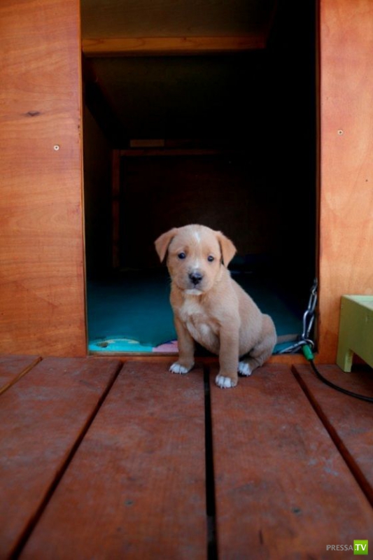 ��� �������� �������� ����� 6 (33 ����)